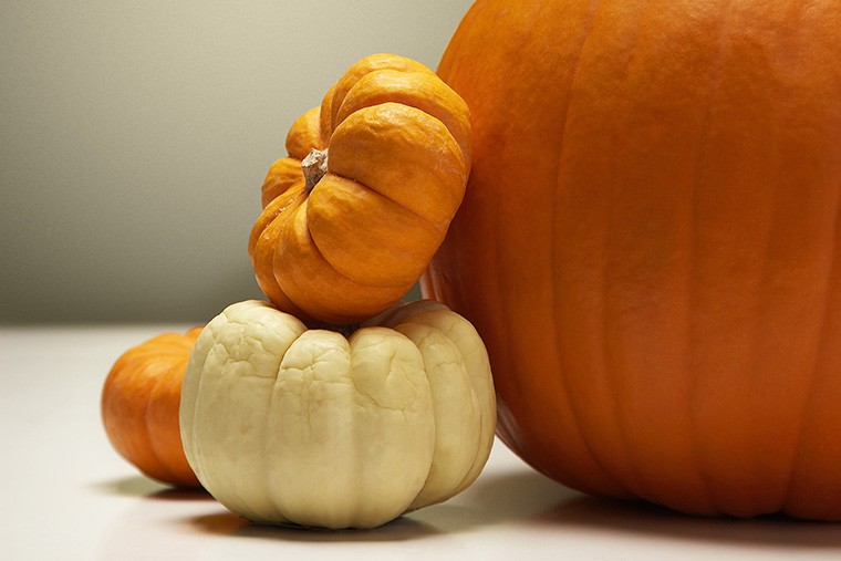 「かぼちゃ」は英語で何という？「pumpkin」か「squash」のどちらを使えば良い？